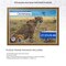 ArtToFrames 27.57x19.68 INCH / 70x50 CM Puzzle Frame for 1000 piece Puzzles.This 1.25 Inch Custom MDF Frame for Puzzles Comes with Economy Acrylic, Available in Multiple Colors
